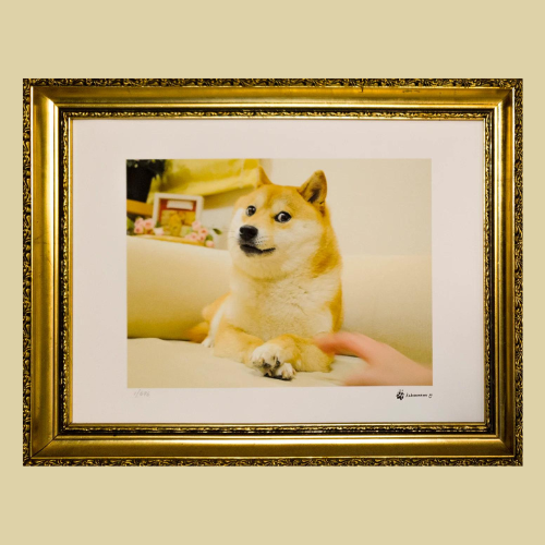 Doge Print