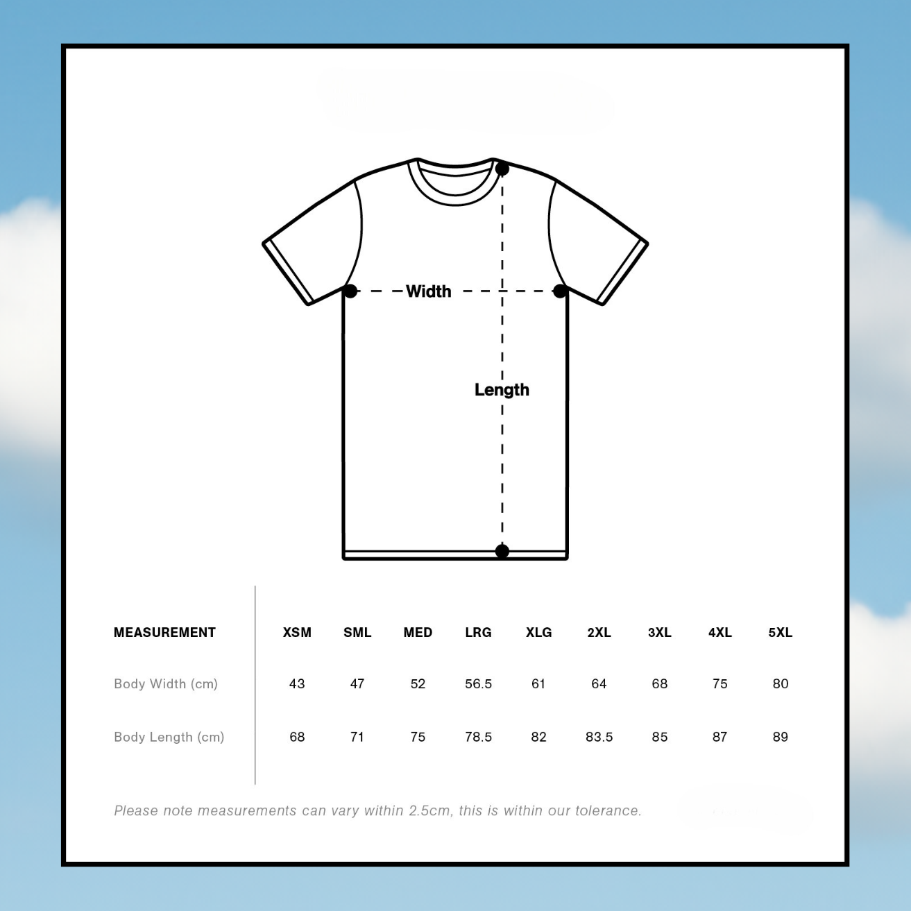 BTC Pizza Day - Limited Edition T-shirt