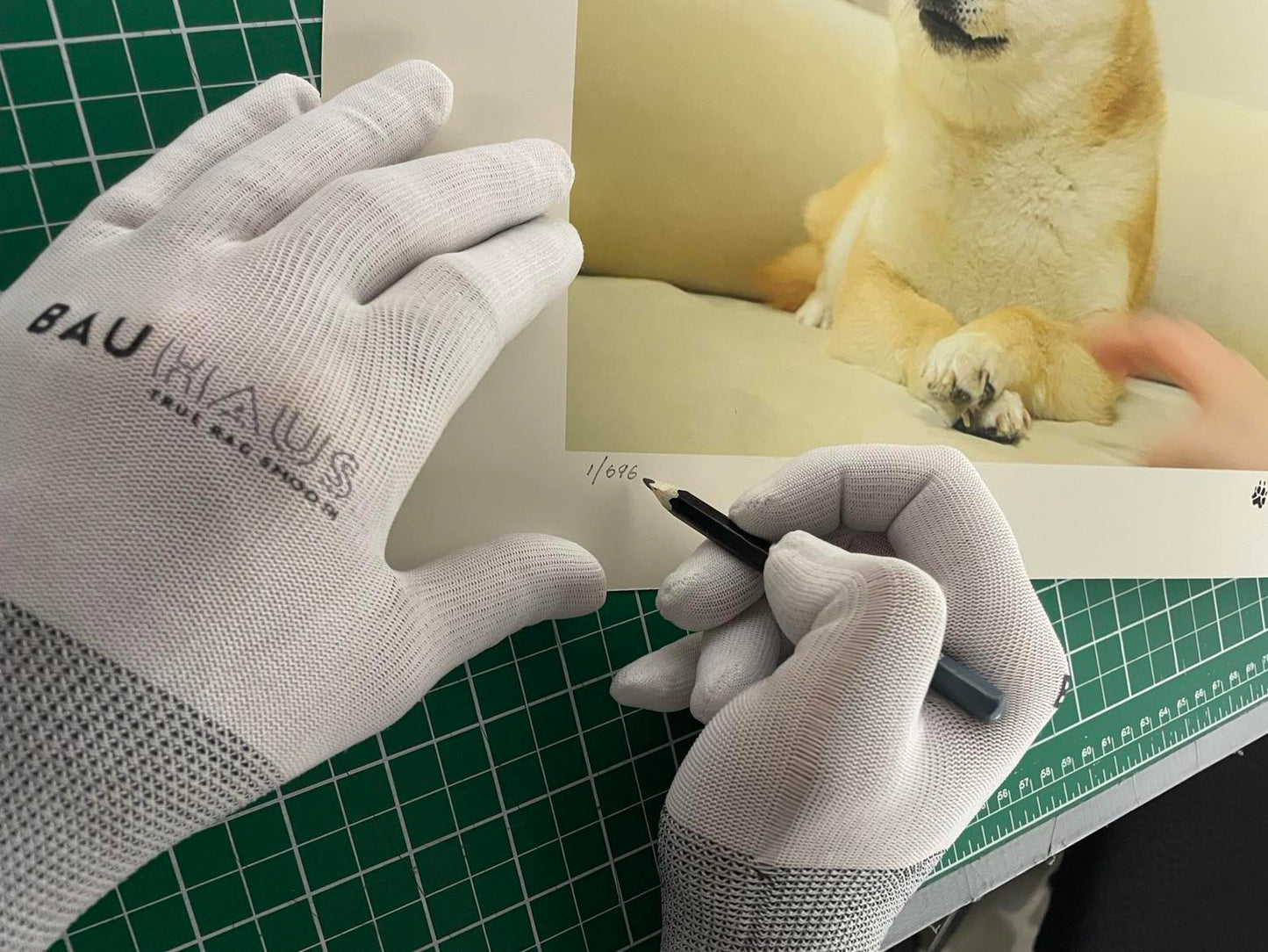 Doge Print