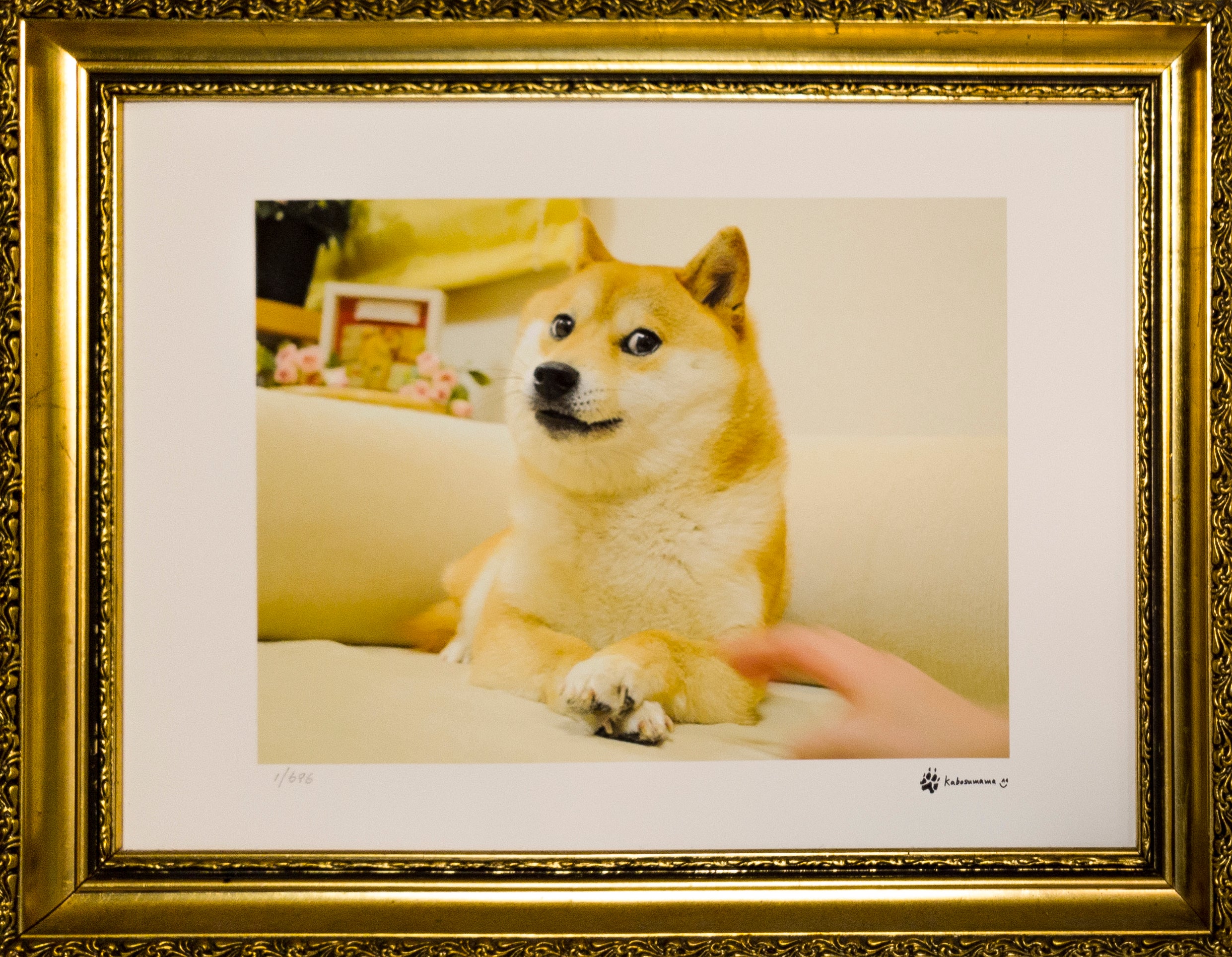 Doge - Limited Edition Print – SHOP.OSHI