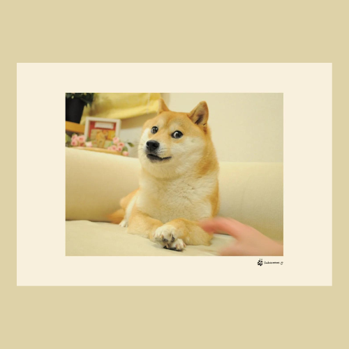 Doge Print Doge Print – SHOP.OSHI