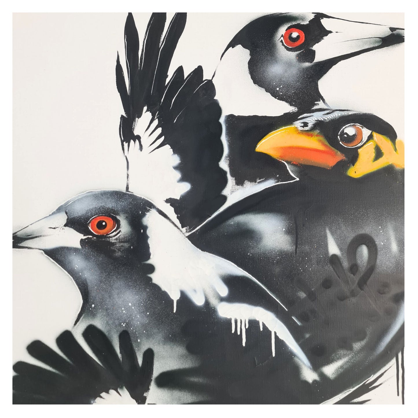 DREW FUNK - Chorus of shadows (Magpies)