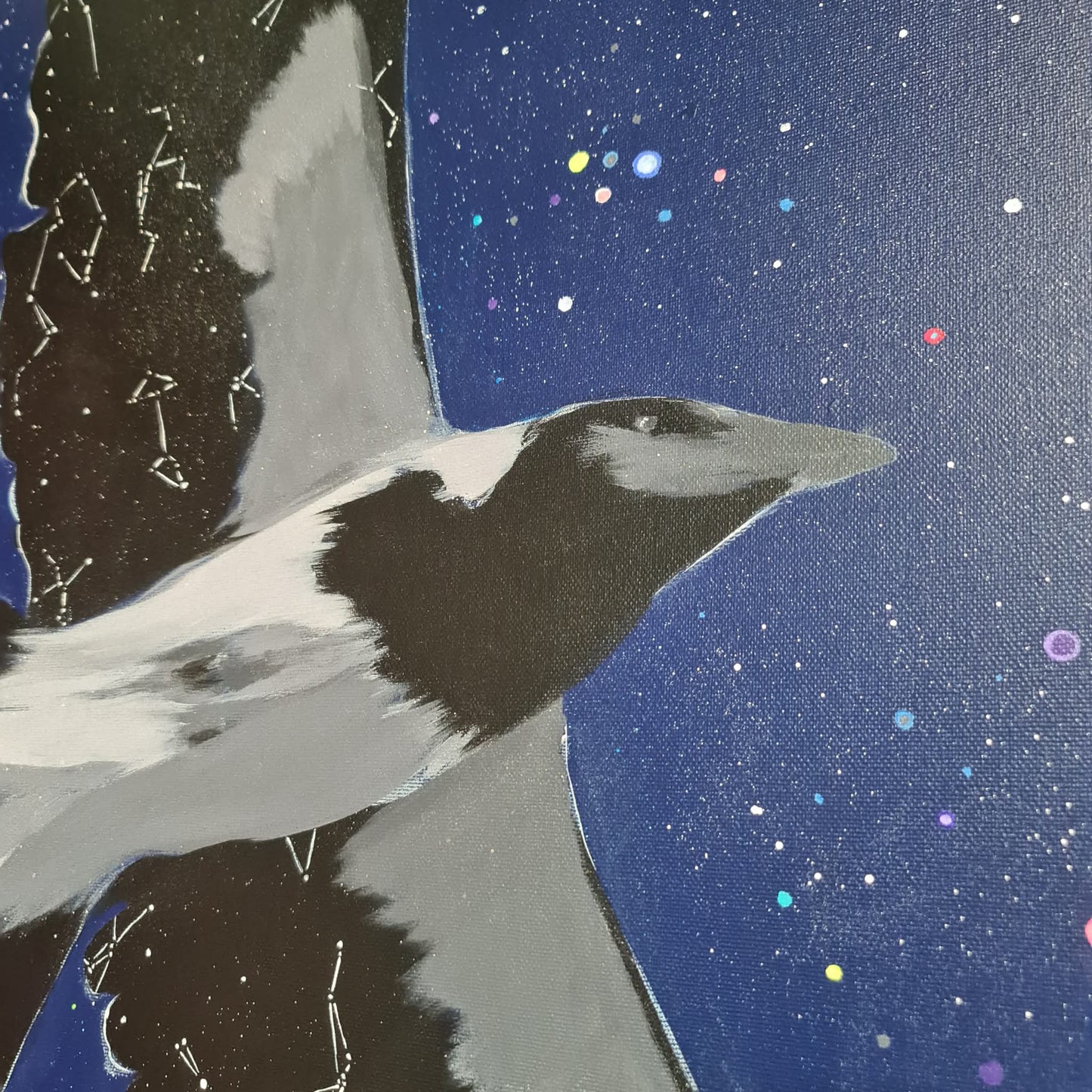 VEXTA - Celestial Navigation (Magpie)